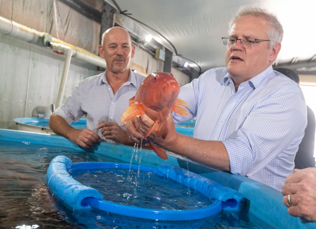 Thumbnail for Is PM’s $1 billion cash splash enough to save the Reef, or his government?