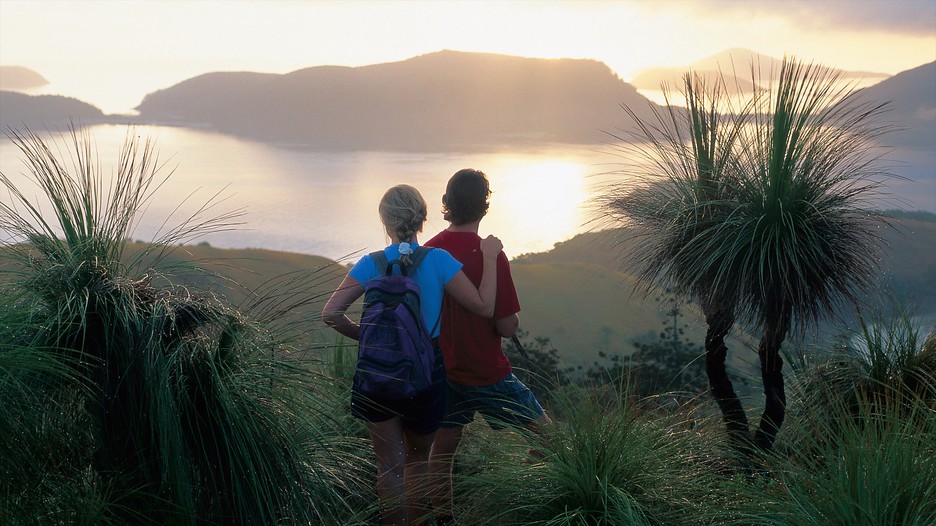 Thumbnail for Tourism rebounds but a new ‘world of pain’ emerges from staff shortages
