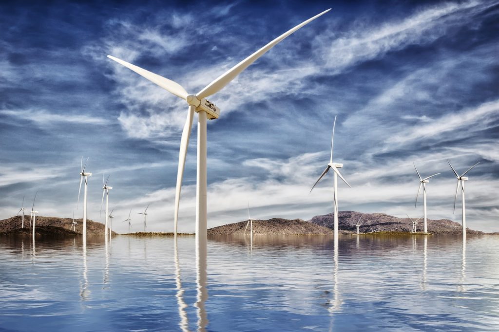 Thumbnail for How ‘green capitalism’ is changing the face of Queensland business