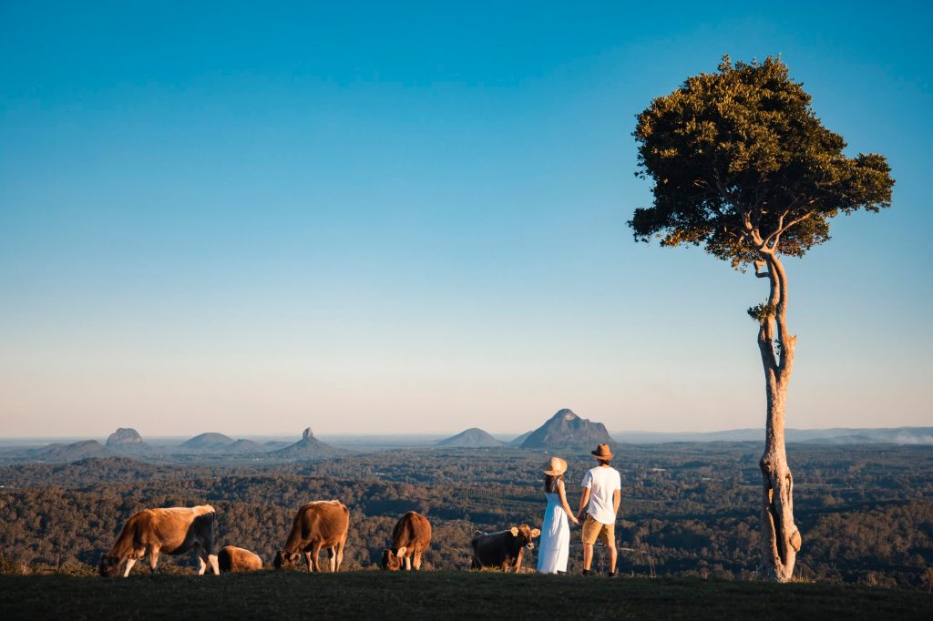 The Sunshine Coast is the top destination for internal migration