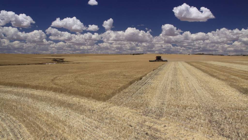 Thumbnail for Brisbane expert’s bid to convince UN over farm sustainability
