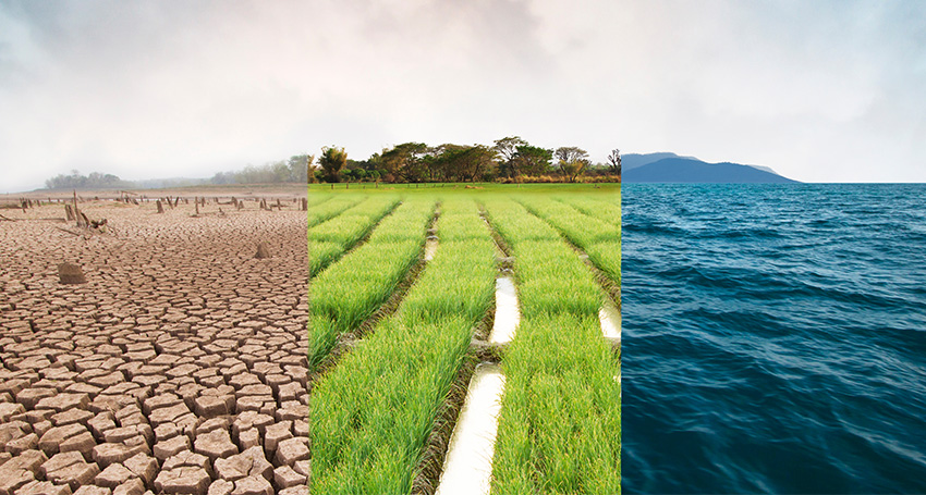 Thumbnail for Assessing your climate risk: Why acting now can secure a sustainable future