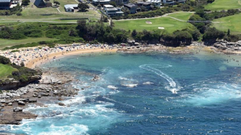 Thumbnail for Chilling to the core: Sydney beaches closed after horror shark attack