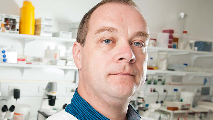 Thumbnail for Blood test breakthrough targets most effective cancer treatment