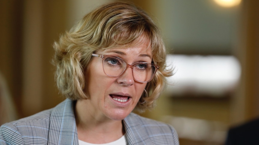 Thumbnail for Rookie error: Steggall tells why she didn’t disclose $100k donation