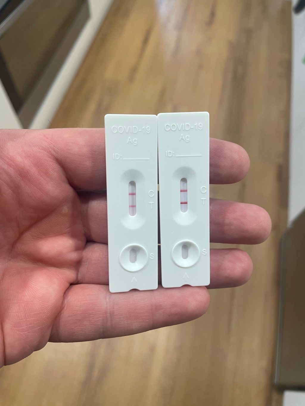 Thumbnail for When the positive test arrives and ‘iso’ begins you could do worse than have a go at NAPLAN