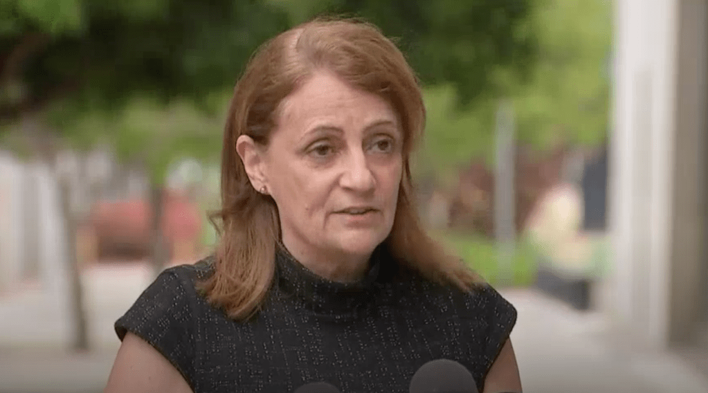 Townsville mayor Jenny Hill said councils were fighting over-regulation