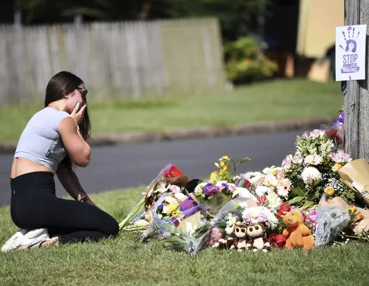 Thumbnail for Police union says cops ill-equipped to deal with domestic violence cases