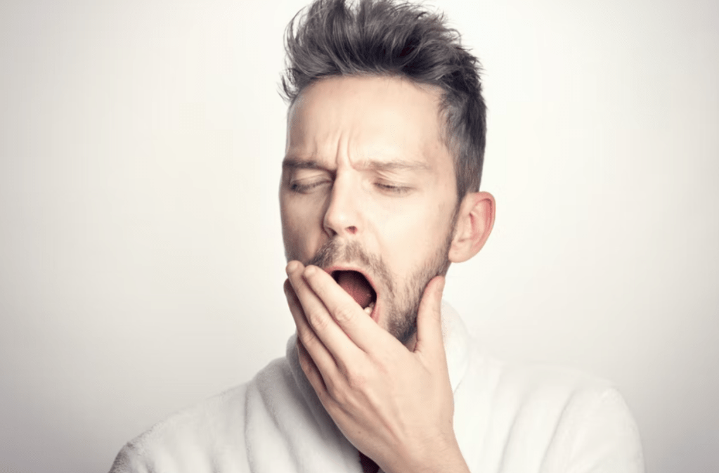 Thumbnail for A good night’s sleep may be down to bacteria