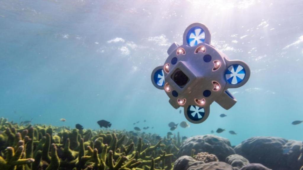Thumbnail for Squid games: Sea drone to propel underwater research