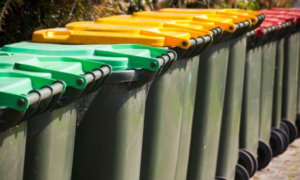 Thumbnail for The wonderful world of language: Let me introduce you to the Binfluencer