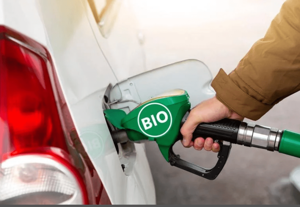 A new bio-fuel refinery is to be established in central Queensland. (Image: Supplied)