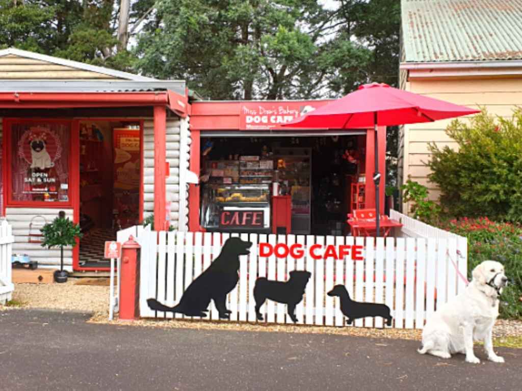 Dogs are treated as well as humans in a growing number of establishments. (Photo: Visitvictoria).