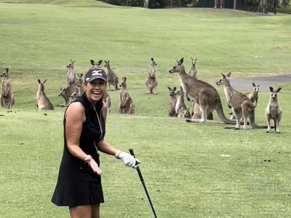 Thumbnail for Stomped, scratched: Roo attack leaves Gold Coast golfer in hospital