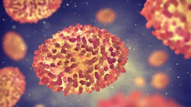 Thumbnail for Monkeypox a moderate risk to world: WHO