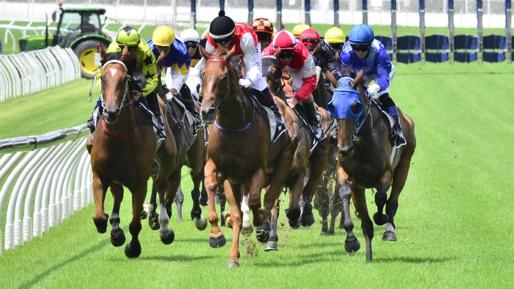 Thumbnail for Second-in-charge of Queensland’s racing watchdog resigns