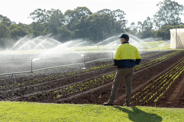 Thumbnail for Smoke and mirrors: Why agriculture’s home by the sea could be a mirage