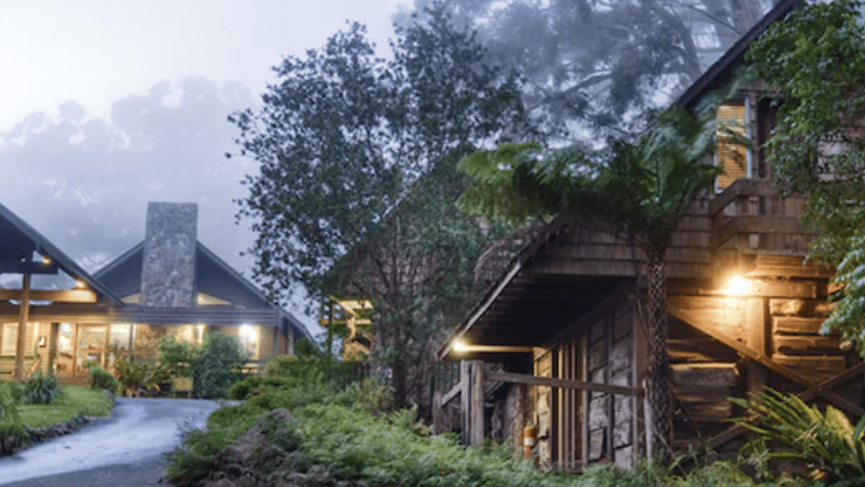 Thumbnail for Binna Burra ready to rebuild after grabbing lion’s share of $22m ecotourism funding