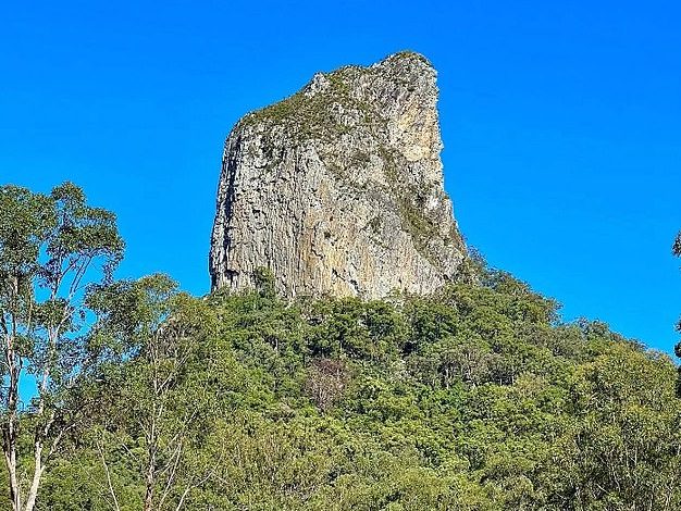 Thumbnail for Two face murder charges over ‘charred bones’ of woman found at Glasshouse