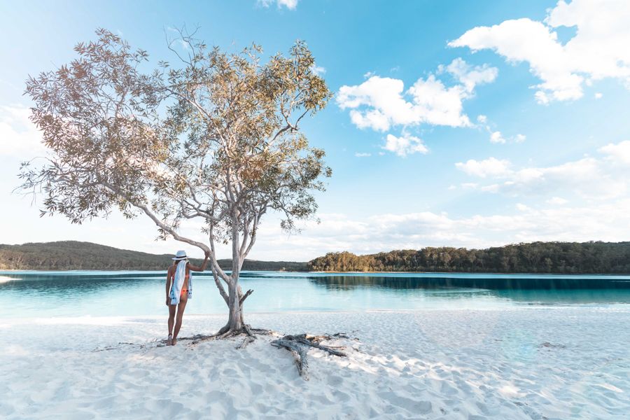 Thumbnail for No new taxes, except for tourists and those visiting Queensland’s national parks