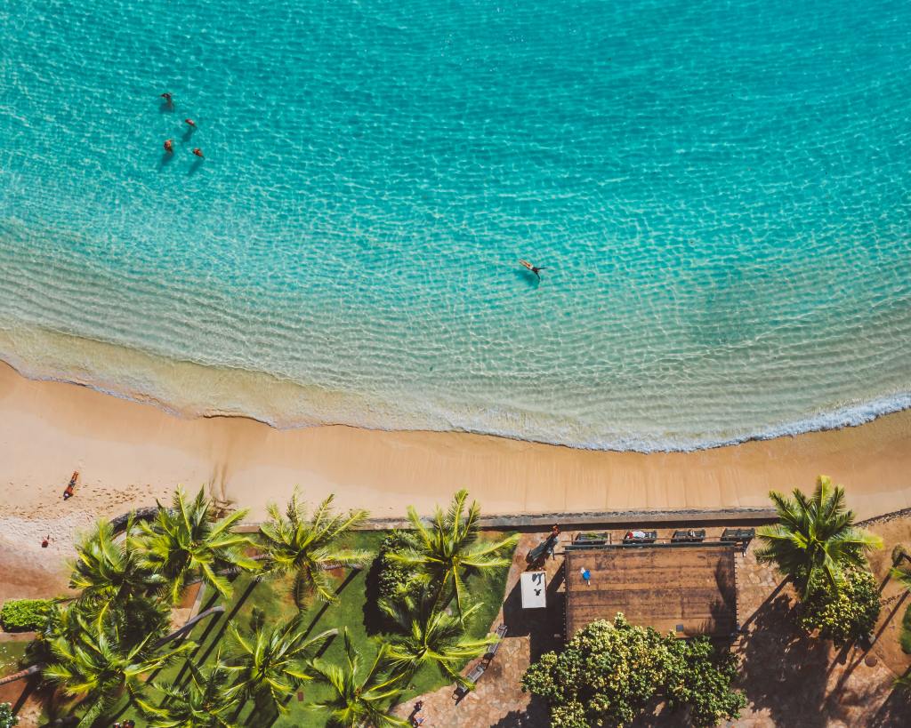 Image: Jess Loiterton