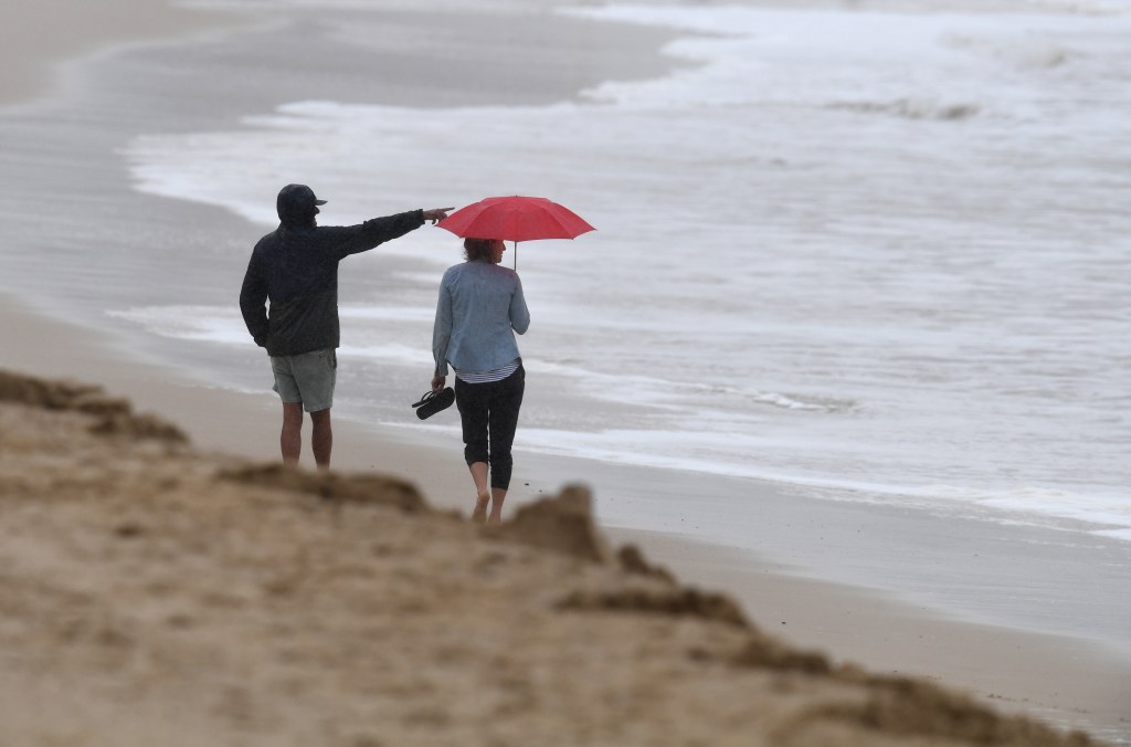 Thumbnail for High seas, falling trees: Big blow from big low set to lash state’s south-east coastline