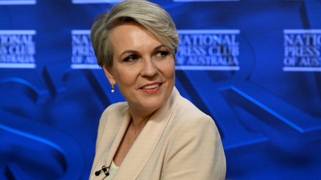 Thumbnail for No precedent, says Plibersek, just the right thing to save the Reef