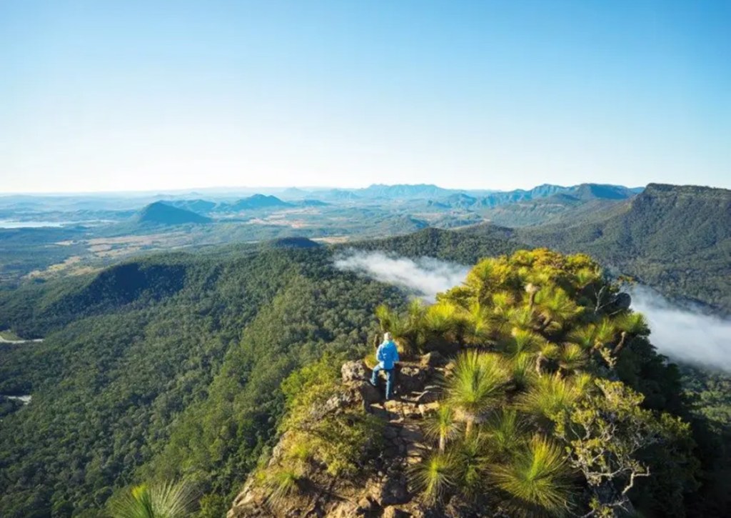 Park managers who took part in a series of workshops reported the focus on visitor facilities was to avoid complaints that might affect support for protected areas. 