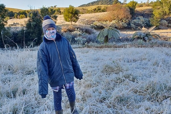 Frost covers a paddock at the Cloudbreak Lowlines Cattle and Eungella Beef property.(Image: ABC - Cloudbreak Lowlines Cattle & Eungella Beef)