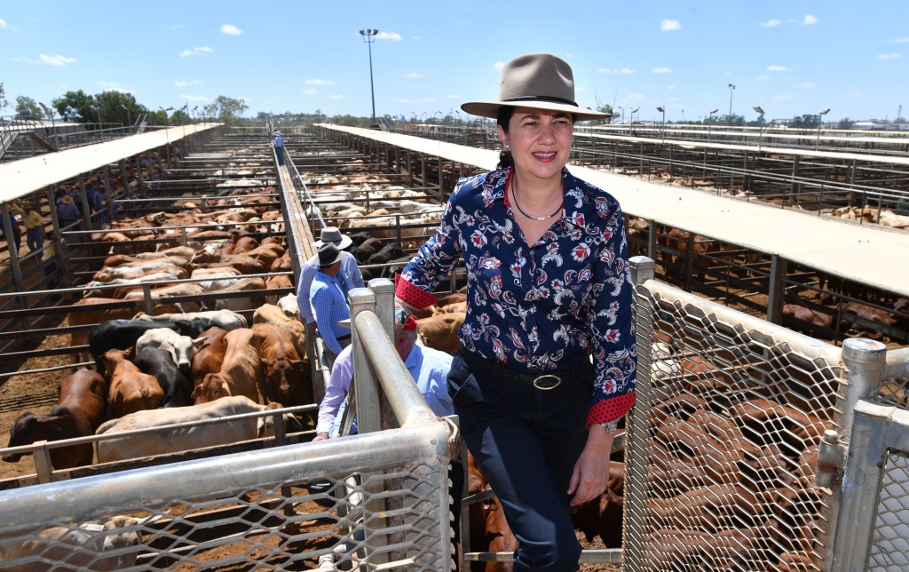 Queensland Premier Annastacia Palaszczuk is seen visiting the Roma Saleyards in chia 2918 file image. Premier Palaszczuk announce her government would set up a Farm Debt Restructure office to assist primary producers experiencing financial distress. (AAP Image/Darren England)