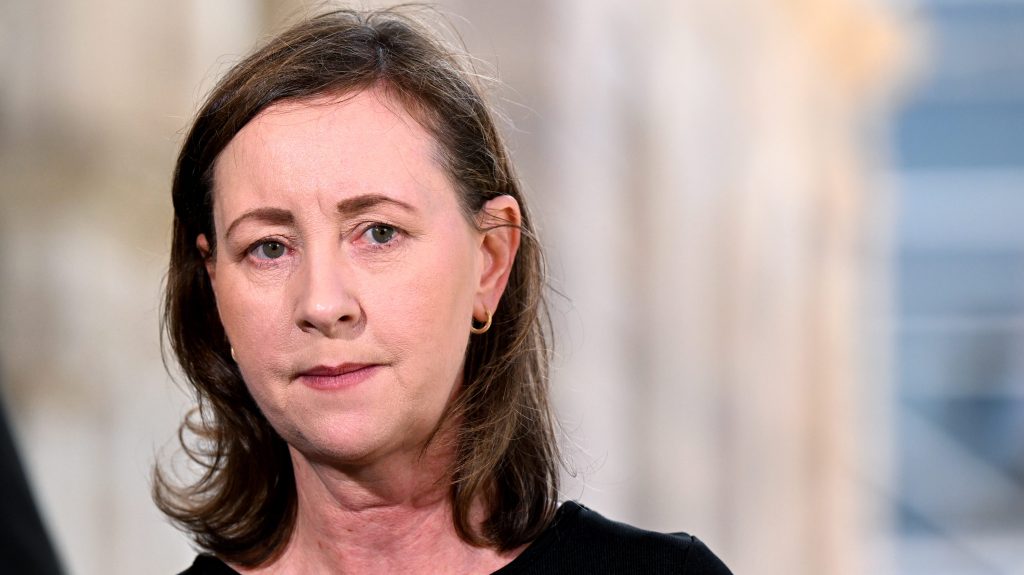 Thumbnail for ‘In the public interest’: Minister sacks entire Mackay Hospital board