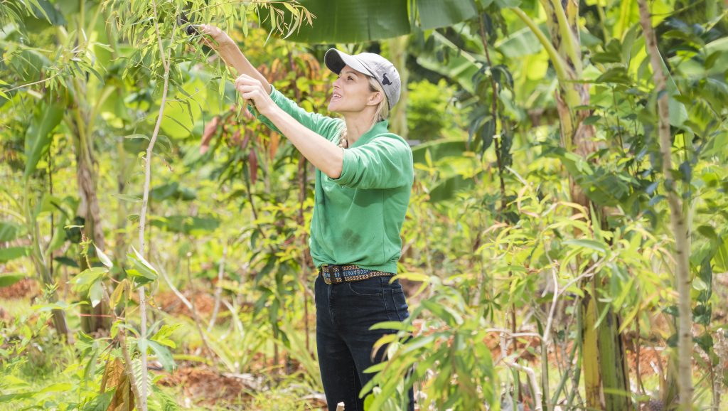 Thumbnail for Farmer wants a life, but rural property ladder out of reach for young Qlders