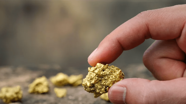 QMines has made a copper gold discovery