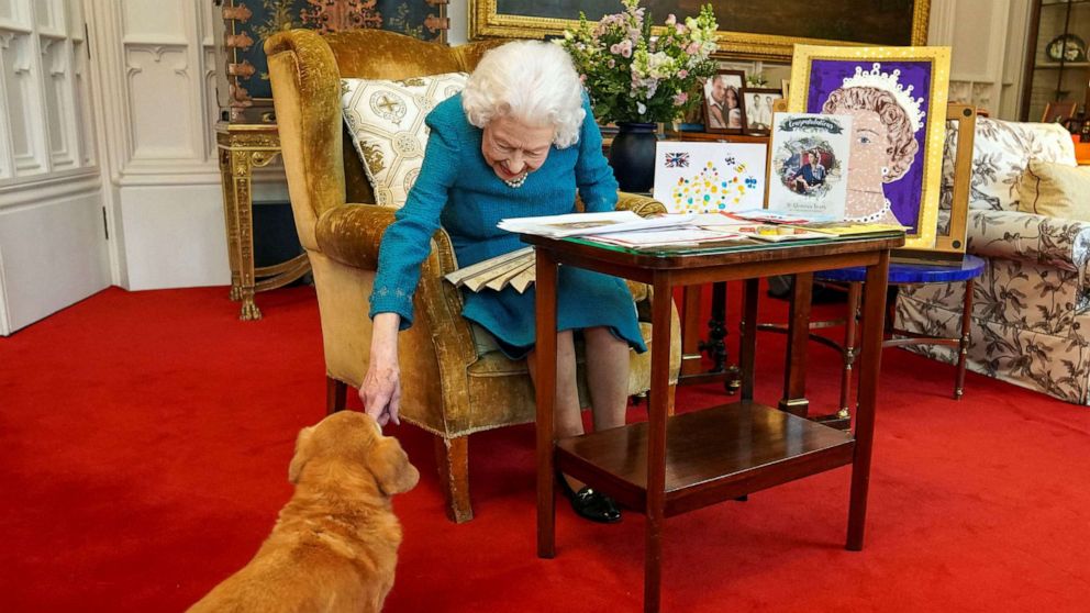 Prince Andrew and his former wife Sarah Ferguson will take care of the Queen's corgis, the palace says. (File image).