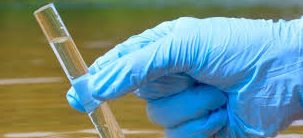 Thumbnail for Talking dirty: World experts gather to tackle biggest rubbish problems