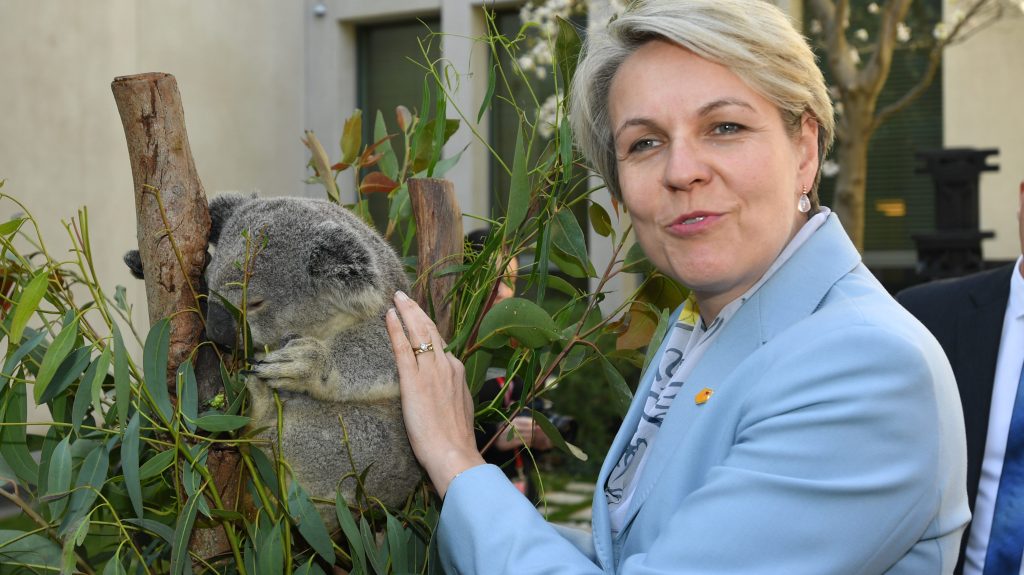 Thumbnail for Picking favourites: Government singles out 110 species that we can’t do without
