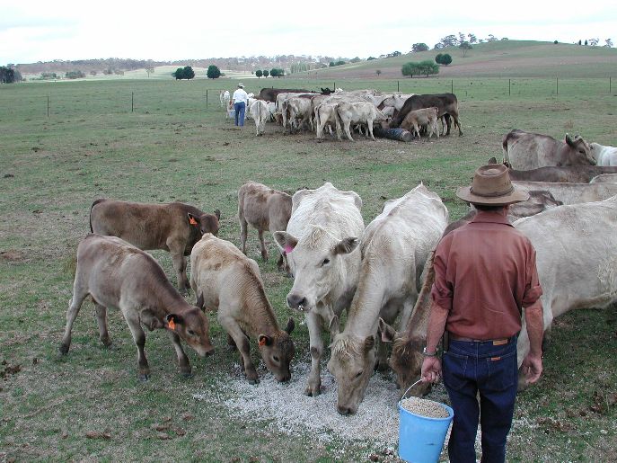 Thumbnail for Rain’s wash-up for state’s drought position remains a murky prospect