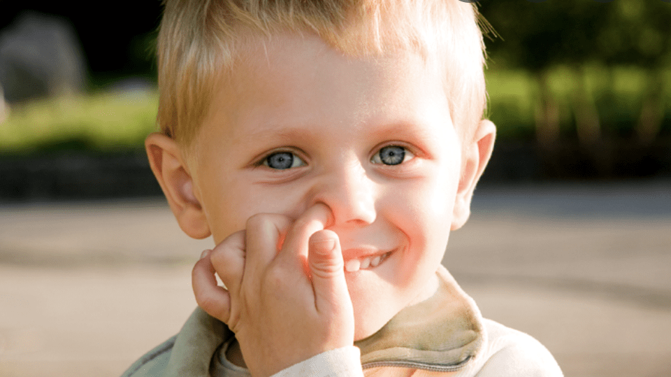 Griffith researchers have found a link between dementia and nose. picking. File image