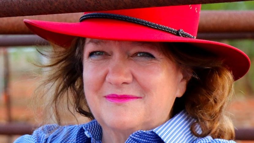Thumbnail for Rinehart’s plan for 150 gas wells is ‘death by a thousand cuts’ for koalas