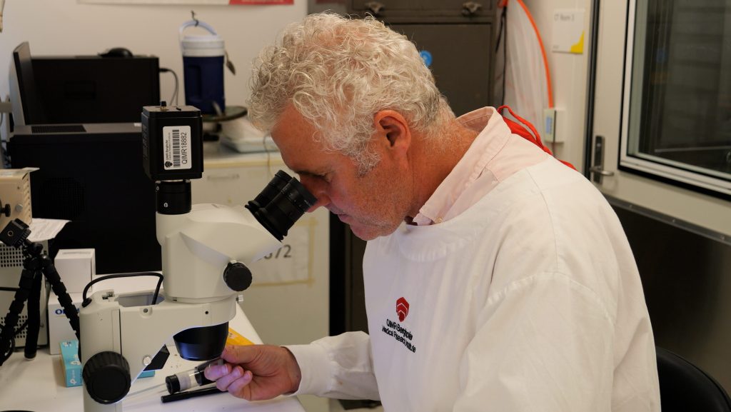 Thumbnail for Doctors warn that big wet likely to bring mozzie-borne disease outbreak