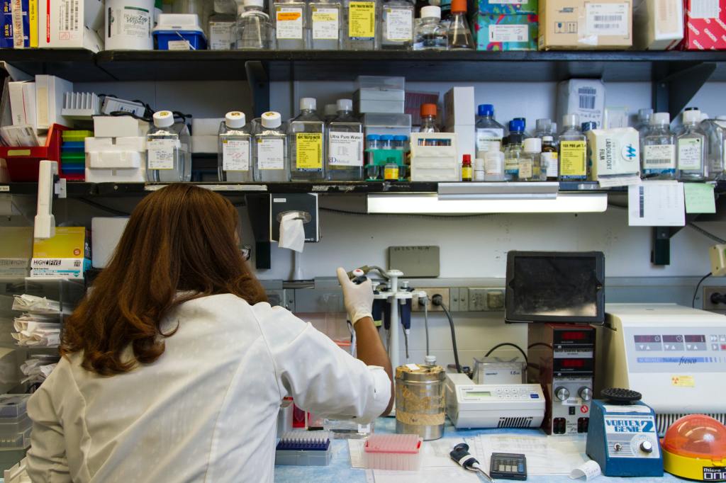 Thumbnail for Inquiry hears of mystery contamination concern at state’s forensic lab