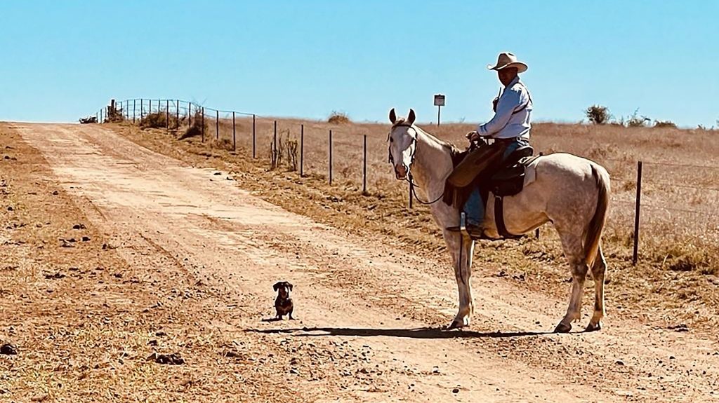Tom Strachan on his beloved cutting horse, along with Woody the sausage dog. (Image: Supplied)