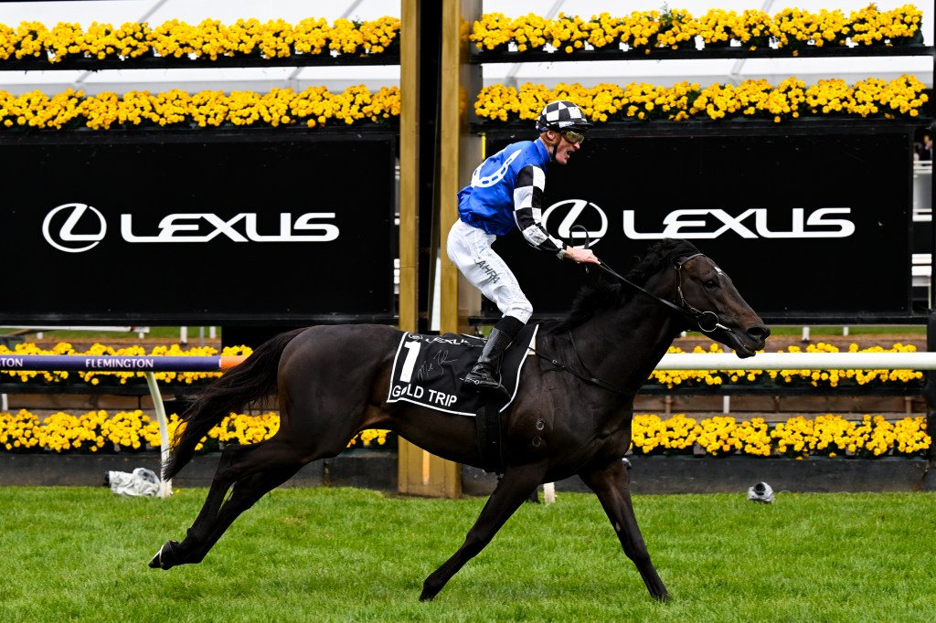 Thumbnail for Gold Trip’s the light fantastic in thrilling Melbourne Cup win