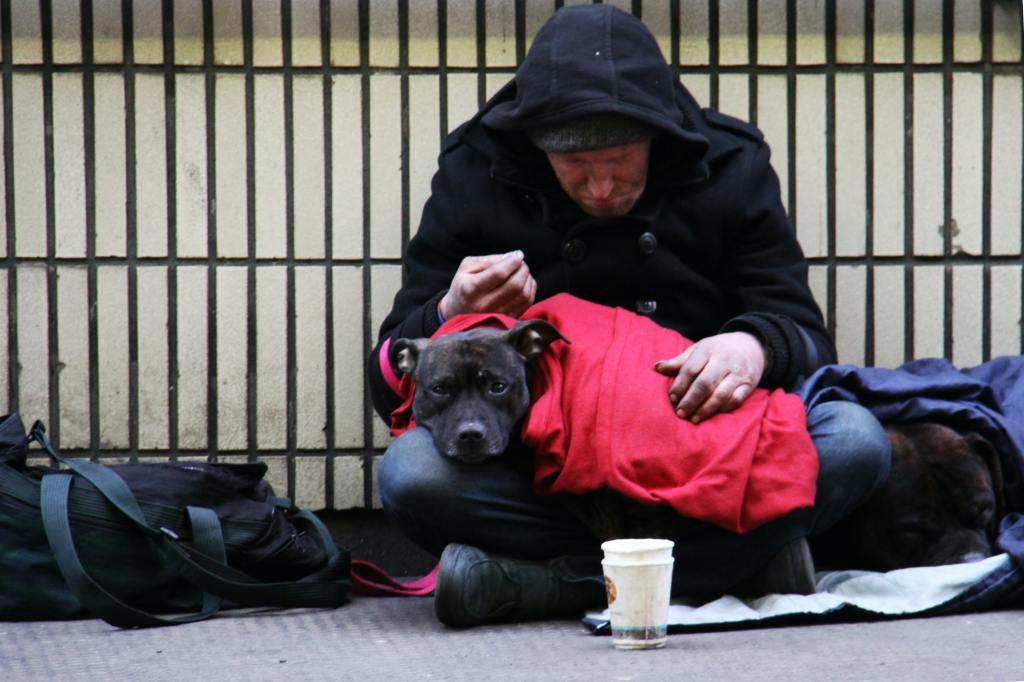 Thumbnail for On this of all days, State urged to decriminalise public drunkenness