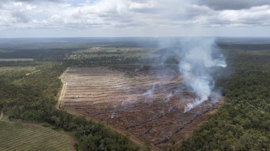 Thumbnail for Conservationists give stick to beef over land clearing rates
