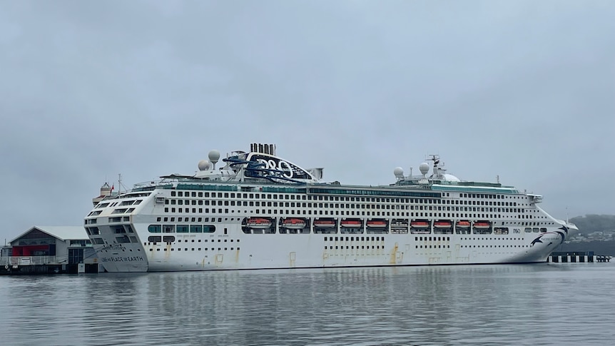 Thumbnail for Ocean search finds body of woman who fell from cruise ship