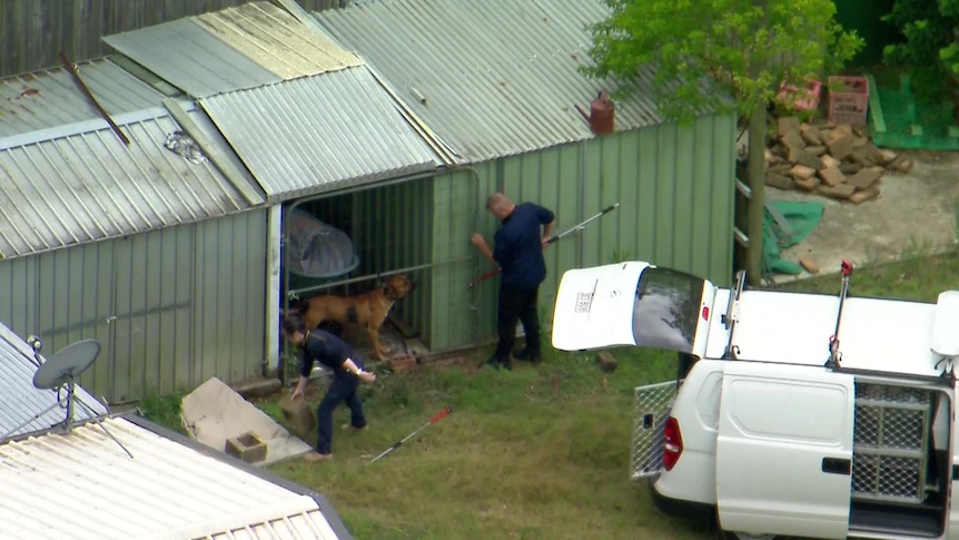 Logan Council said it had zero-tolerance for dogs that act, or might be kept in a way, that could "compromise community safety" and said it's campaigning for tougher dangerous dogs laws. (Image: ABC News)