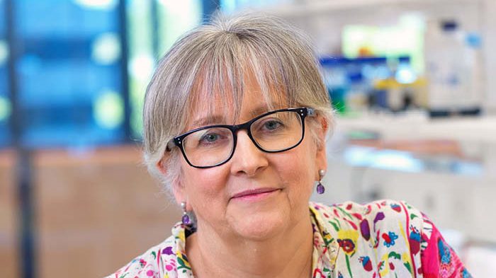 Thumbnail for Queensland scientist wins praise (and $100k) for work on women’s cancers