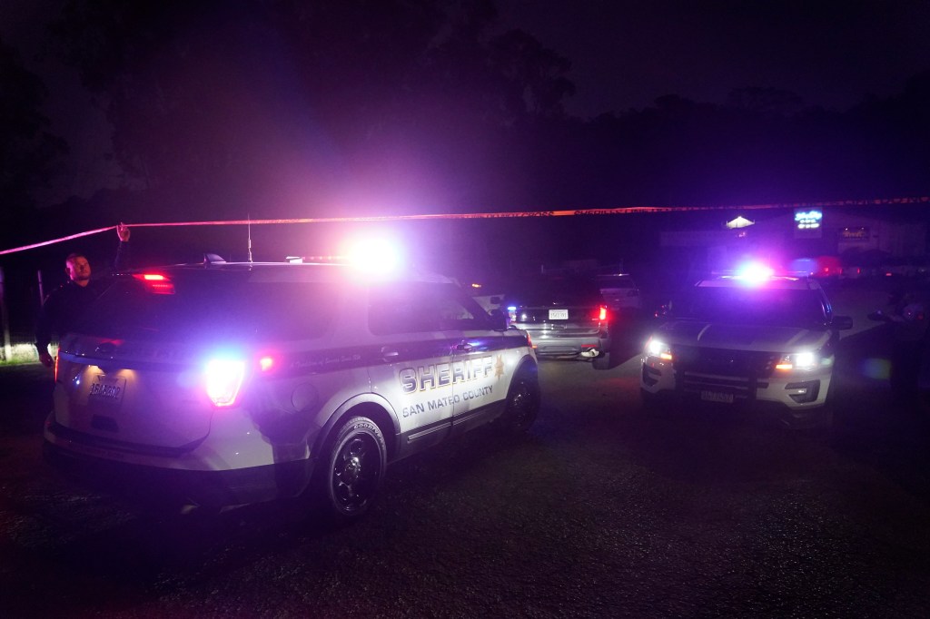 Thumbnail for Not again: Seven dead in fresh bout of California shootings