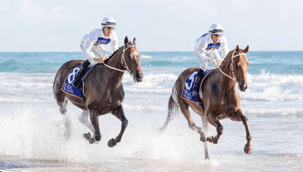 Thumbnail for And they’re off: Calls for safety investigation after Magic Millions stunt goes awry